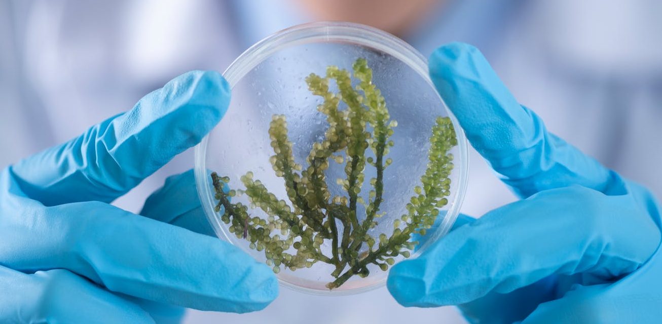 microbiologist India